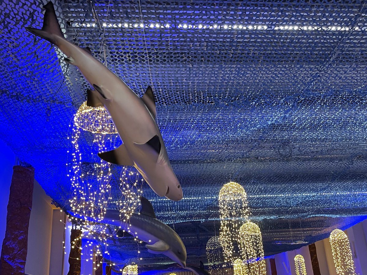 GroupeAstrevent's tweet photo. Soirée fond  marin au palais du grand large st Malo pour 600 convives #legrandlarge #solene #scenarisationfondmarin #nova #groupeastrevent https://t.co/PEOi1G0NRe