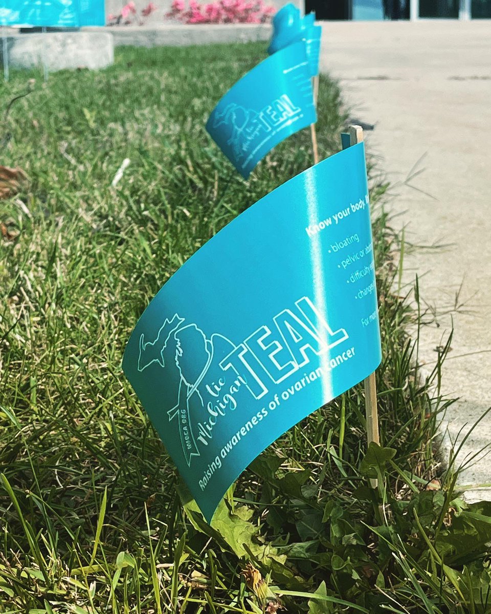 OaklanduSHS's tweet photo. Help spread awareness for Ovarian
Cancer! Come take a look at the symptoms outside of
Kresge Library and the bridge at the SHS building to
help keep yourself and others safe and aware!
#mioca #tiemichiganteal https://t.co/foUqIYEAo3