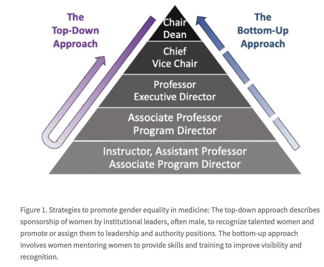 Best way 2 support gender equity in med? -promote women 2 leadership positions, this requires #heforshe SPONSORSHIP as most leadership positions held by men. When writing IRBs, book chapters, review articles, include #WomenInMedicine #PERT2022 <a href="/WomenAs1/">Women As One</a> 

shorturl.at/cGQRV