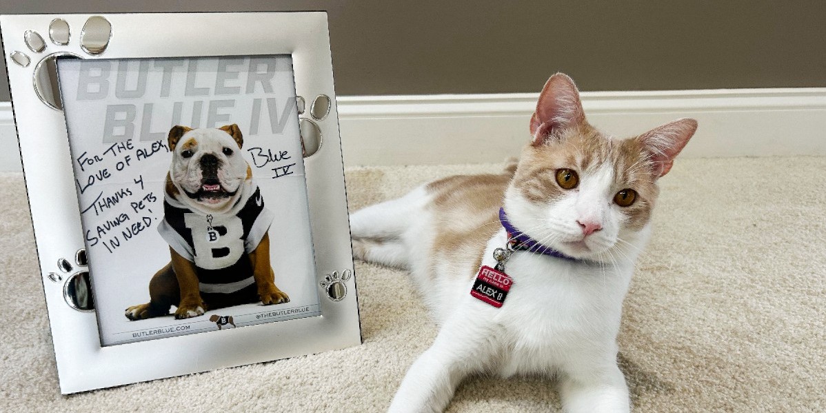 ForTheLoveAlex's tweet photo. Alex II is thrilled to receive a personal message from Butler Blue IV today! πΎ
Whether you are a Butler fan or not, there's no denying Blue IV is adorable. πΆ
#fortheloveofalex #doglovers #doggo #bulldogs #thebutlerblue #butlerblueiv #dog #animalwelfare #charity #pawprint https://t.co/DeXnZyipjR