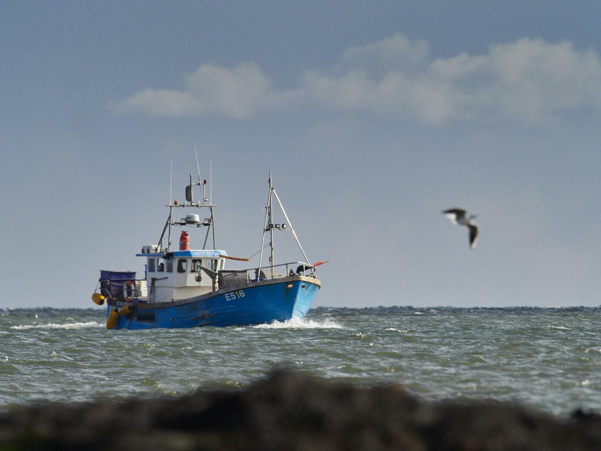 tomcdevon's tweet photo. Catch of the day.
#olympus #omd1 #mzuiko300mmf4 #breakfreewitholympus
#mirrorless #photography #photography #sandisc #photo #photoshoot #devonlive #devon #devonlife #devonphotographer #trawler #jurrasiccoast #exeter #exmouth #eastdevon #movetothecountry #devon #omsolutions https://t.co/5AKsTdD7UN
