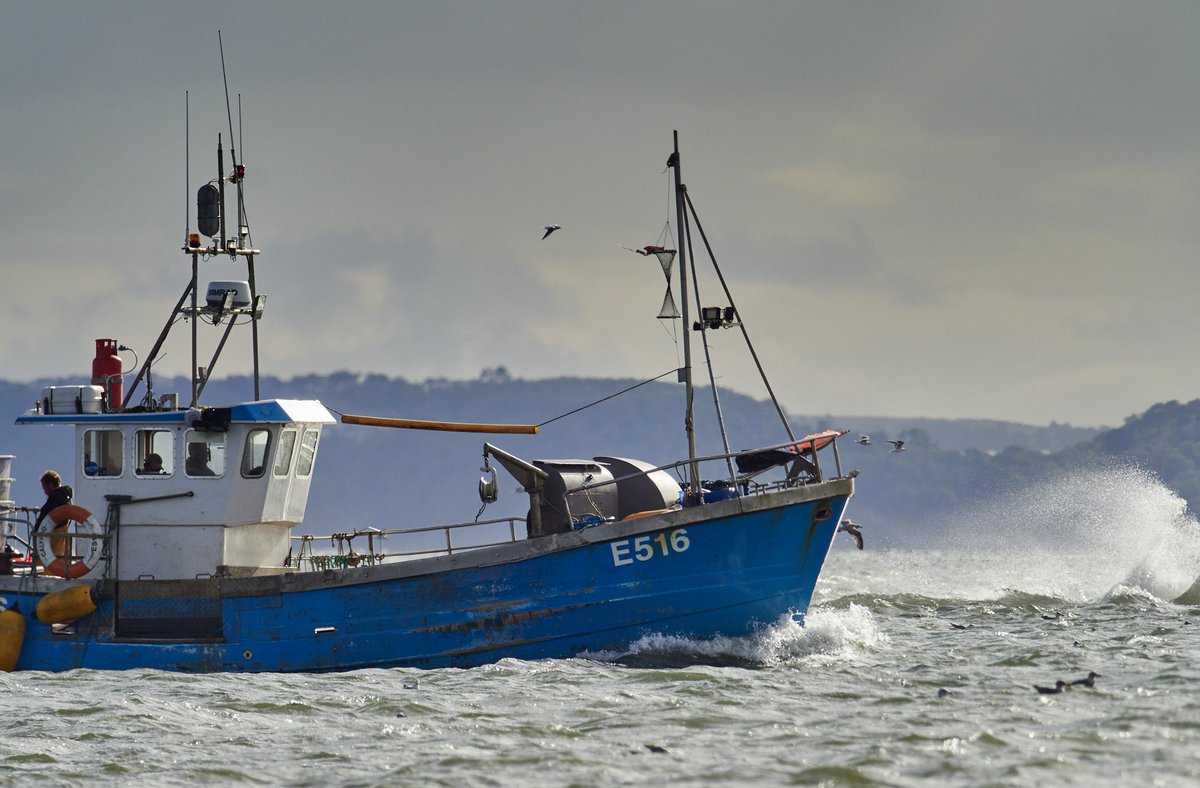 Catch of the day. 
#olympus #omd1 #mzuiko300mmf4 #breakfreewitholympus 
#mirrorless #photography  #photography #sandisc #photo #photoshoot #devonlive #devon #devonlife #devonphotographer #trawler #jurrasiccoast #exeter #exmouth #eastdevon #movetothecountry #devon  #omsolutions