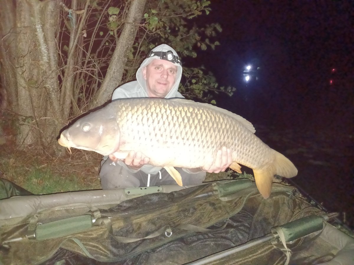 Luminous electrical tweet media