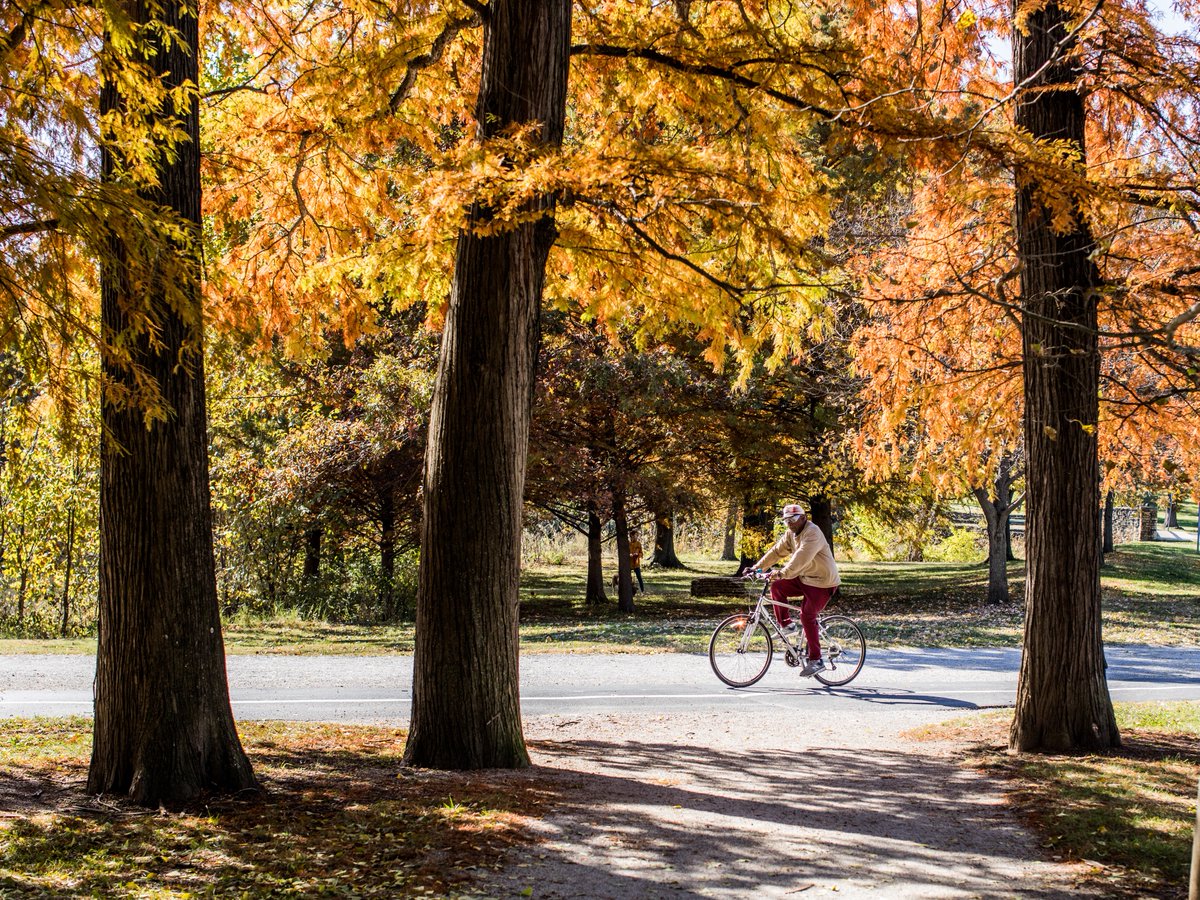 What’s your favorite destination? We have a few @stlartmuseum @mohistorymuseum @stlzoo @stlsciencectr @themuny @boathousestl 🌳 🌳 🌳 #forestparkforever #forestpark #bikestl #bikestlouis