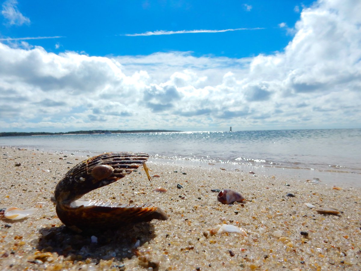 Took a break from work to walk the #Beach. Cool and breezy and beautiful. #NaturePhotography