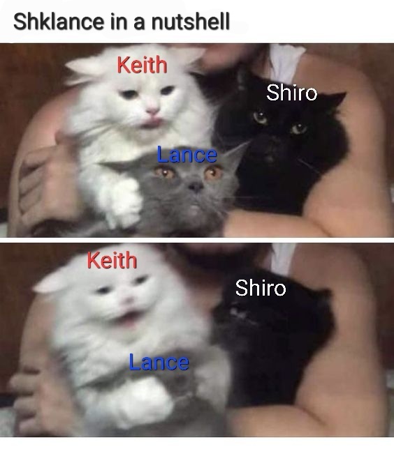 AjZS18's tweet photo. You can't tell me I'm wrong about this ship. 😂😂 #Shklance https://t.co/UhxPy5LRuz