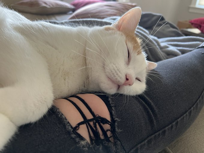 Wanna see my pussy? https://t.co/X9puA0TaAy<a href="/tag/ootd"class="tags"><span>#ootd</span></a>