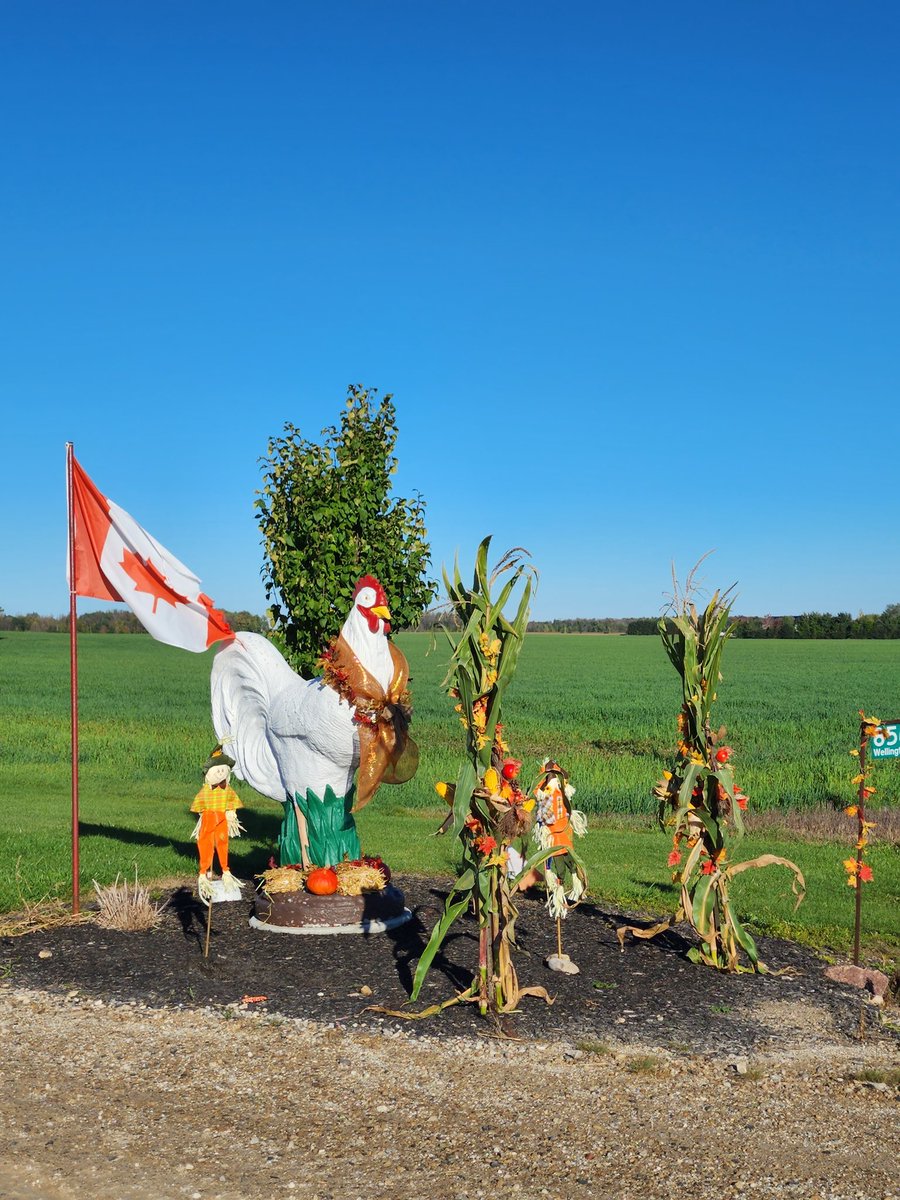 Ooh, <a href="/lsinclair6/">Lois Sinclair</a>, you just missed Hatties fall decorations...It's been either so windy or rainy the past little bit it to get done!
#HappyFallYall