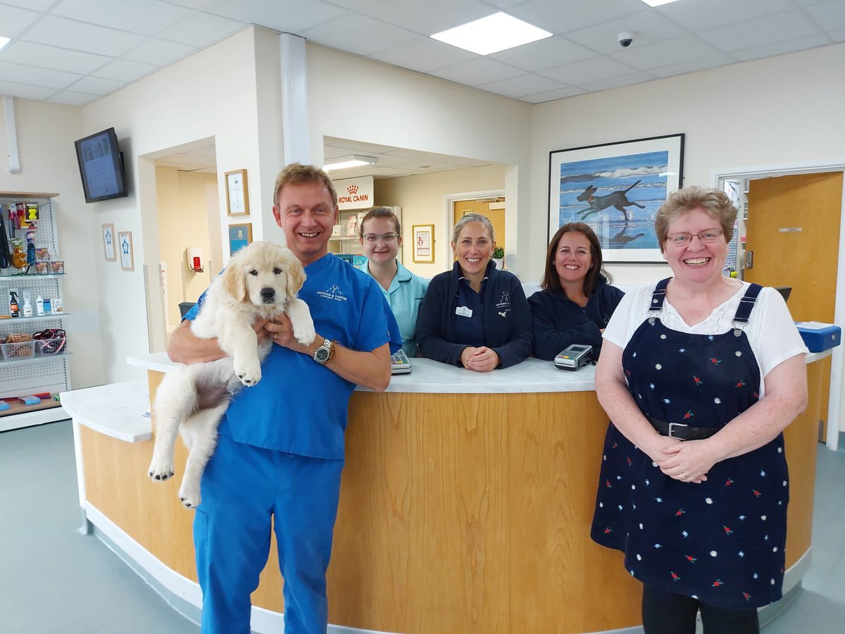 And if you aren’t local to <a href="/vetsmiths/">Vetsmiths</a> but you are local to <a href="/WTVets/">Watkins Tasker Vets</a> why not have a look at the opportunities we have to join the awesome team! We are currently looking for a Vet and Receptionist! 

 watkins-tasker-vets.co.uk/vacancies.html