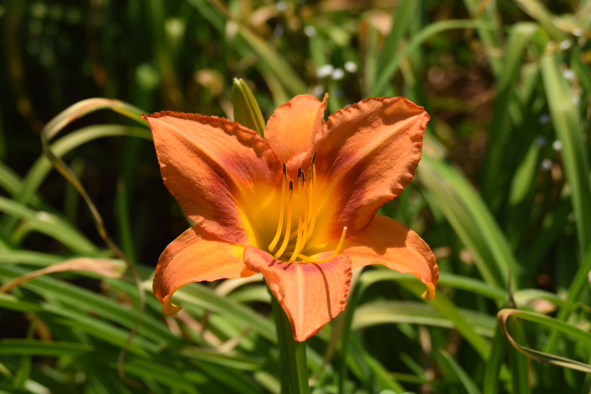 ibaddchix's tweet photo. A few of my latest #naturephotography photos. Enjoy 

Photos by @zay_tb for @ibaddchix 
#ATvisuals #photography https://t.co/l8dbyJgyj4