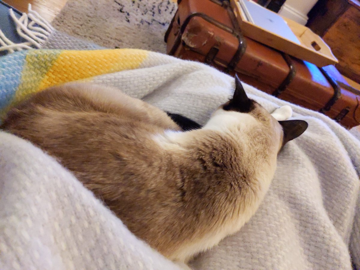 Katie Bowyer tweet media