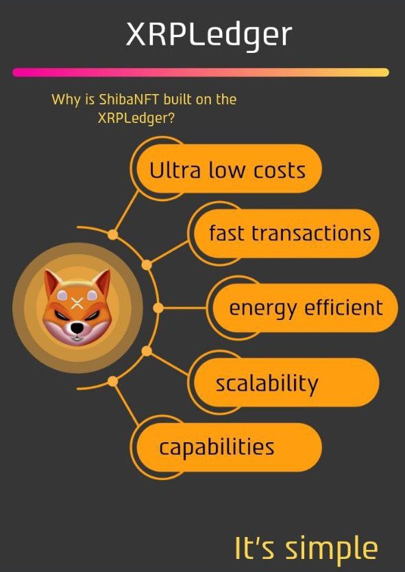 Simply_Peachies's tweet photo. @1Crypto_planet #shibaNFT
#utilitiesforthewins
#ShibaNFTMobileApp
#shibzunstoppable https://t.co/3KuJuq3DQA