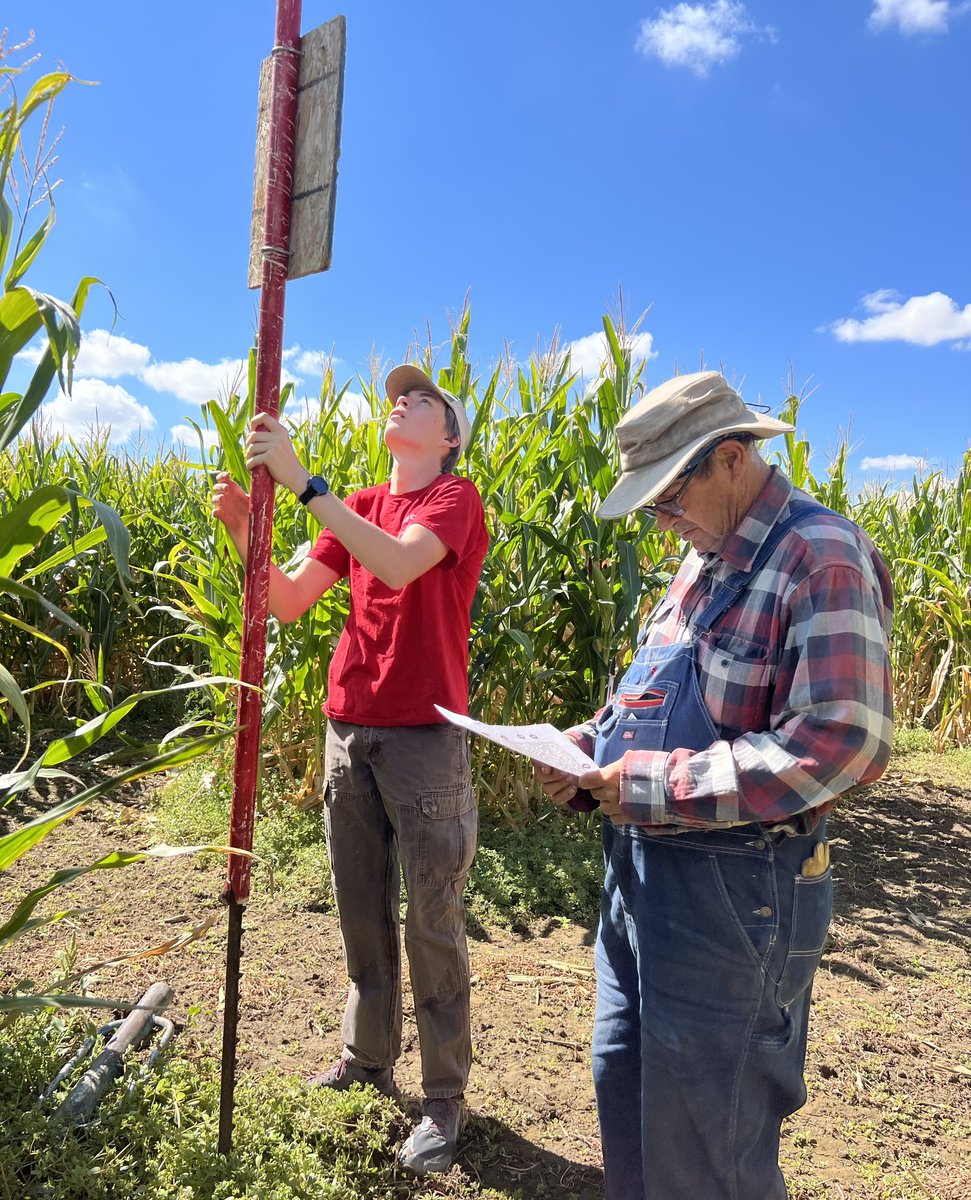 ChurchillCounty's tweet photo. Mark your calendar for a Saturday in October to visit @lattinfarms' corn maze and other fun fall activities! #ChurchillCounty #ChurchillCoutyNV https://t.co/B3w4bGDtav