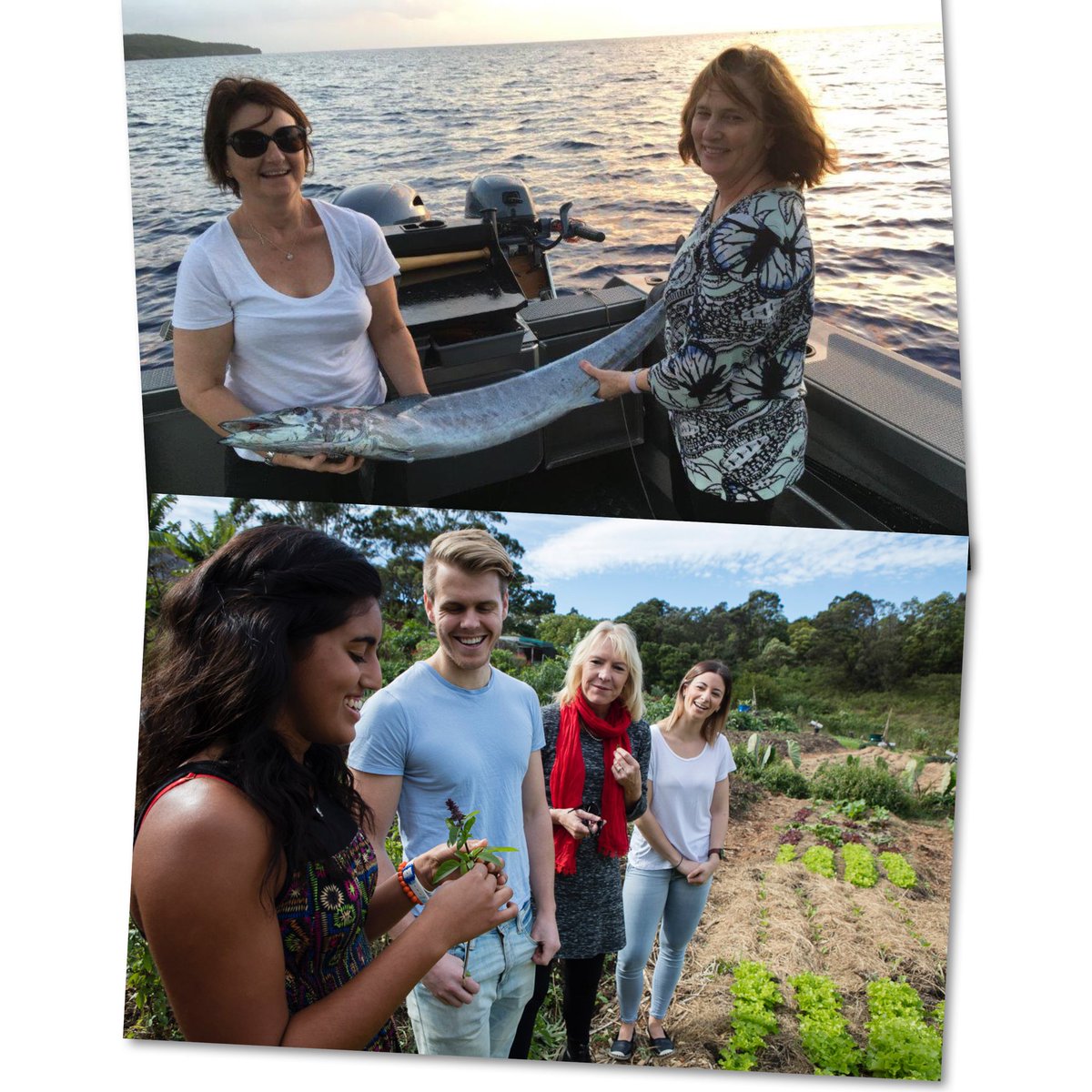 UOW Nutr & Dietetics tweet media