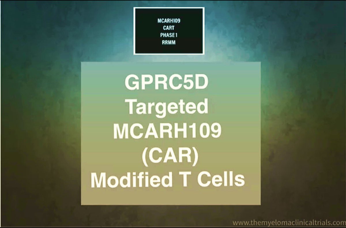 MMTrials's tweet photo. NCT04555551:Phase 1 - MCARH109 Chimeric Antigen Receptor (CAR) Modified T Cells for Multiple Myeloma - Just Published in NEJM #mmsm #MultipleMyeloma #cart #Immunotherapy #curemyeloma @ESmithMDPhD @MSKCancerCenter 
https://t.co/mhPxuwAlD2 https://t.co/iew5H1RPRU