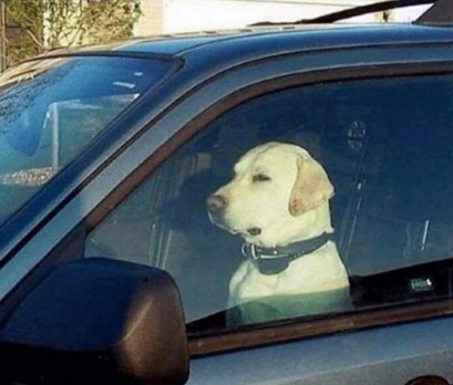 Flantasma1's tweet photo. Cuando llegas a destino pero no queres salir del coche porque está sonando un temaso https://t.co/K6iza5is2Y