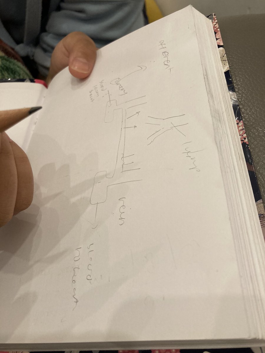 Late night shenanigans in our home is bio revision <a href="/HandsworthGS/">Handsworth Grammar</a> <a href="/KEVIHandsworth/">KEVIHS</a> <a href="/Saini_sweets/">SainiSweets</a>