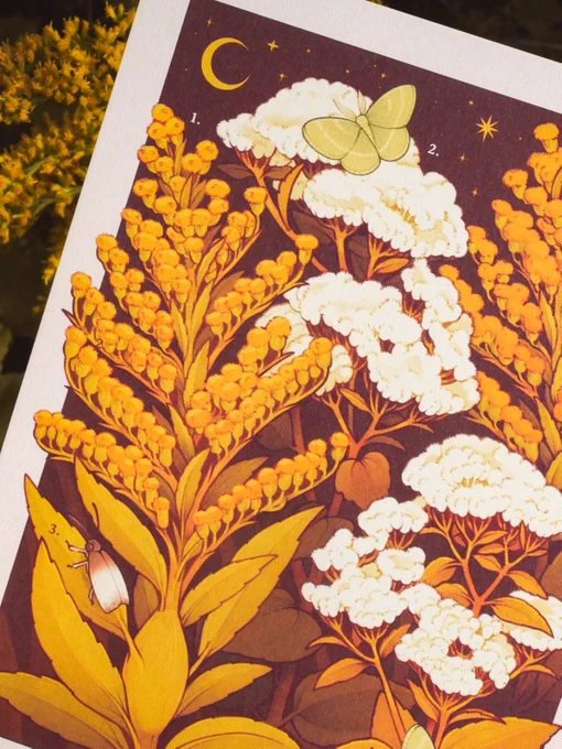 just shared this month's postcard reveal with amanita tiers!! im so happy with how autumnal this piece came out available until 9/30!  