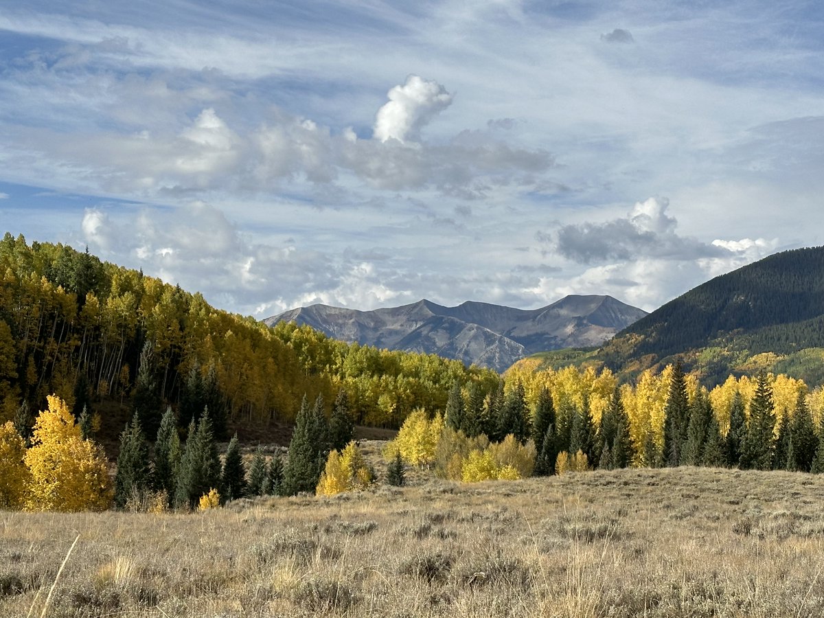 Mad Moose Events tweet media