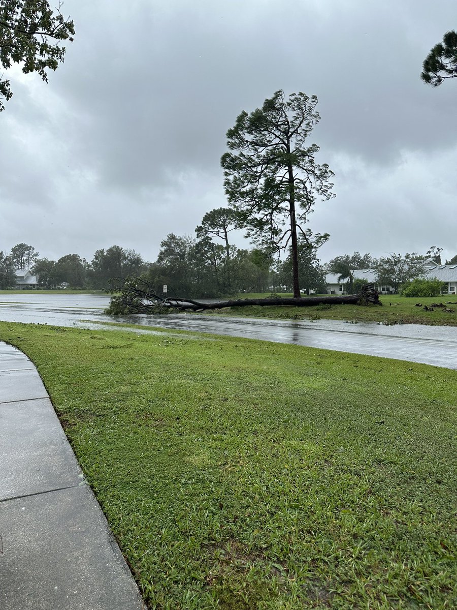 ryanrunner's tweet photo. @clairemetzwesh 
Hurricane Ian took down one of the larger trees on Country Lane! https://t.co/O7sTpMgjVv