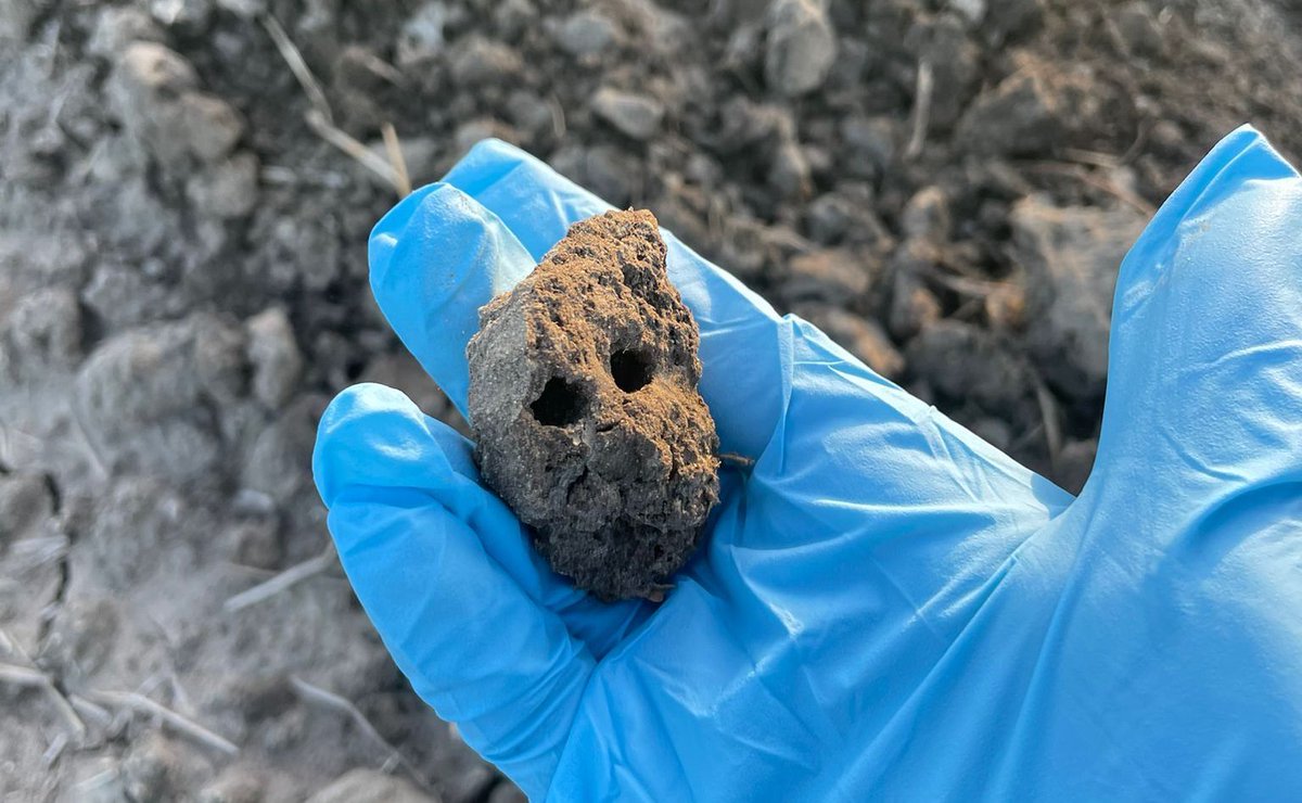 AgBiTech Australia tweet media