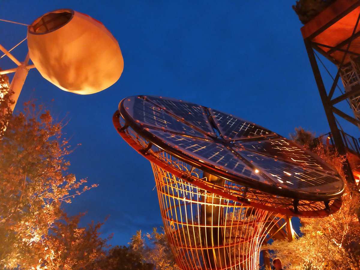 Archie M tweet media