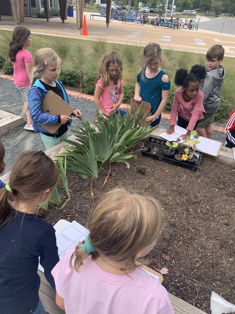 Nicole Collard tweet media