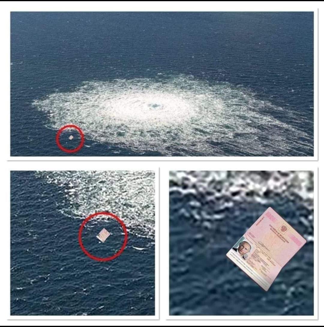 𝕏av Ca𝕏 (TEAM EZC) tweet media