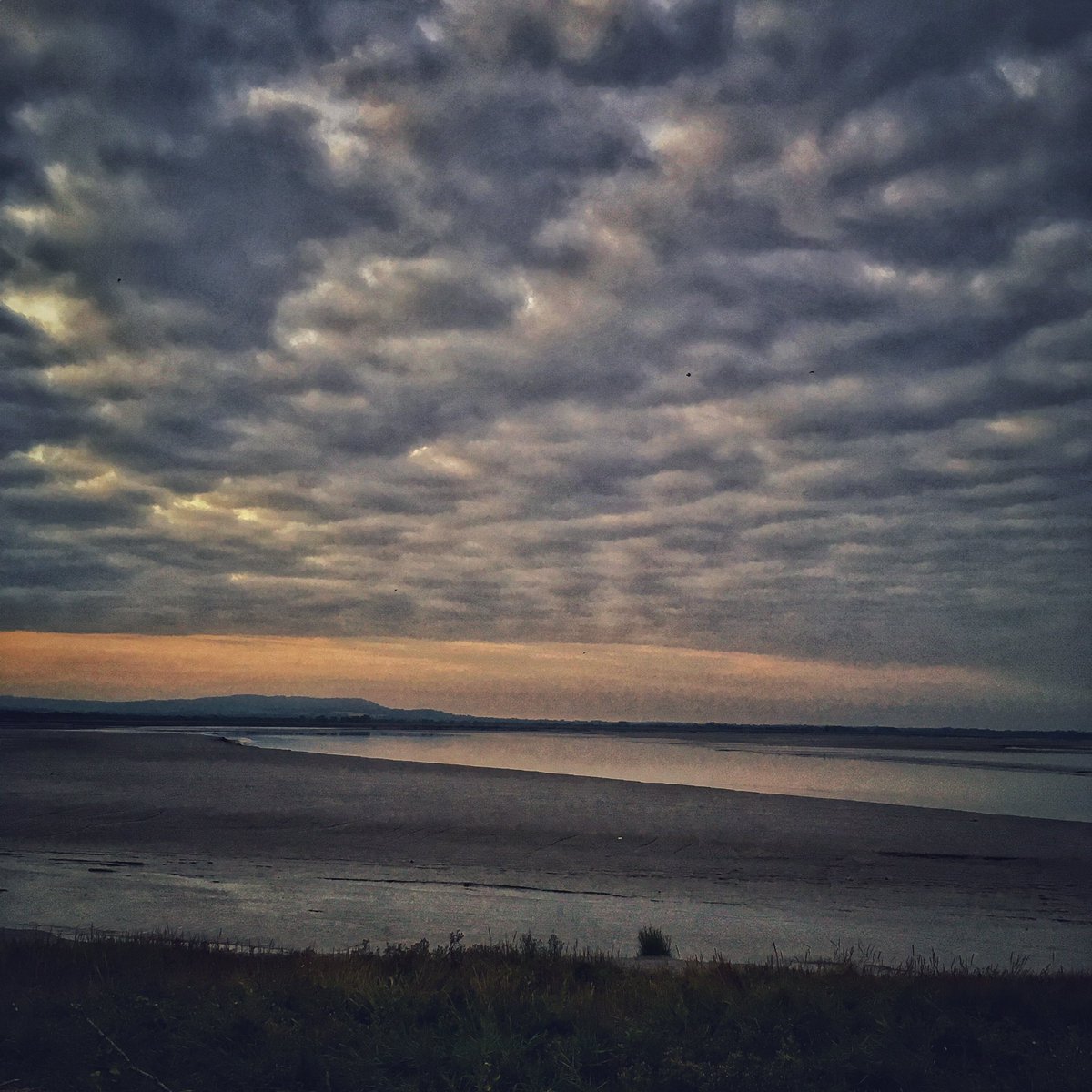 walkingartists1's tweet photo. Our next Synchronised First Friday Walk is on Oct 7th at 13:15 London time. We'd be delighted to have you join us wherever you are #walkingartists #walking #psychogeogaphers #artists #photographers #writers #poets #landscape @museumofwalking @Ruth_HBroadbent @WalkNoDonkey https://t.co/GxRpzqXo2N