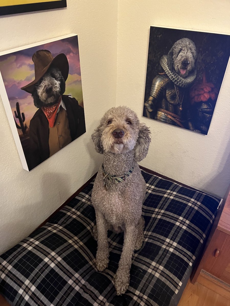 Wagadoodle1's tweet photo. Thank you human for finally decorating my home. #dogs #dogsoftwitter #teddywagadoodle #fineart #labradoodles https://t.co/Bpls5fmYTl