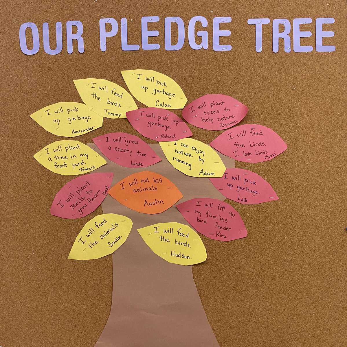 🌎We just loved reading all these new pledges to help nature, which were created by the SK/1 class at Highland Heights for Landmark 6. What's your nature pledge?