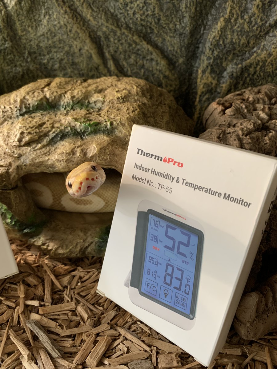 TempProOfficial's tweet photo. With this #hydrometer https://t.co/tyU4sEIFP2, you can check the #humidity of your snake's enclosure. This is a great tool to ensure that your pet has the perfect habitat🐍 This product has over 22k Amazon reviews
#hygrometer #thermopro #humiditysensor #snakepet https://t.co/Y0hDlTAg2N