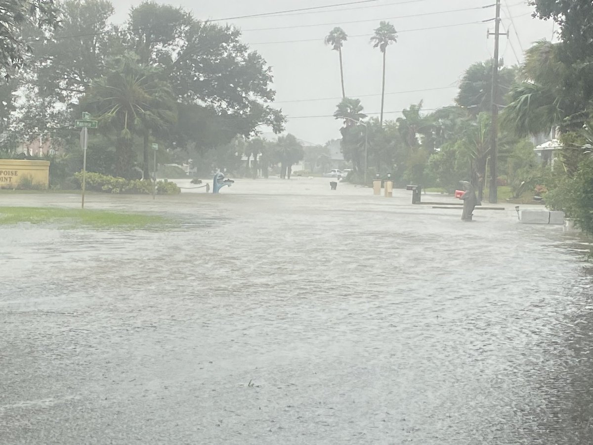 Marilyn Parker tweet media