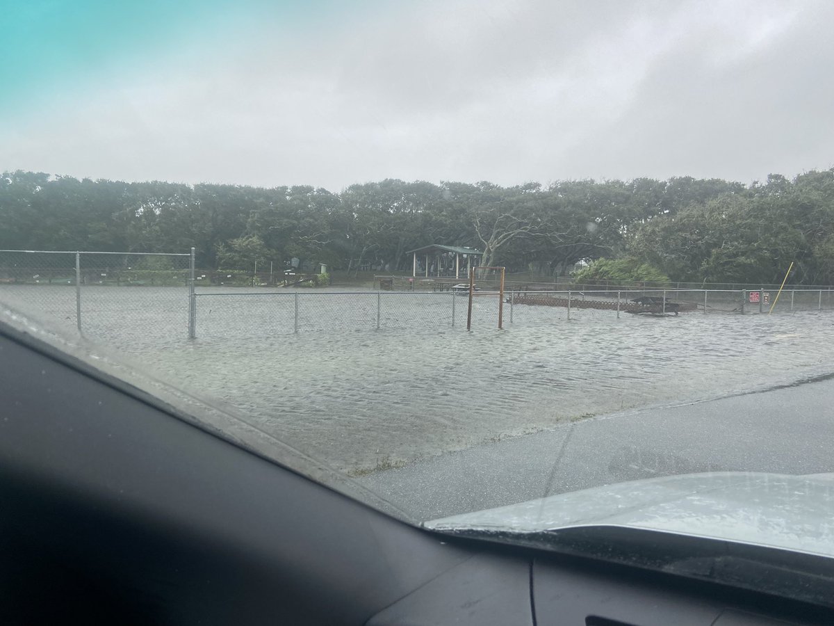 Marilyn Parker tweet media