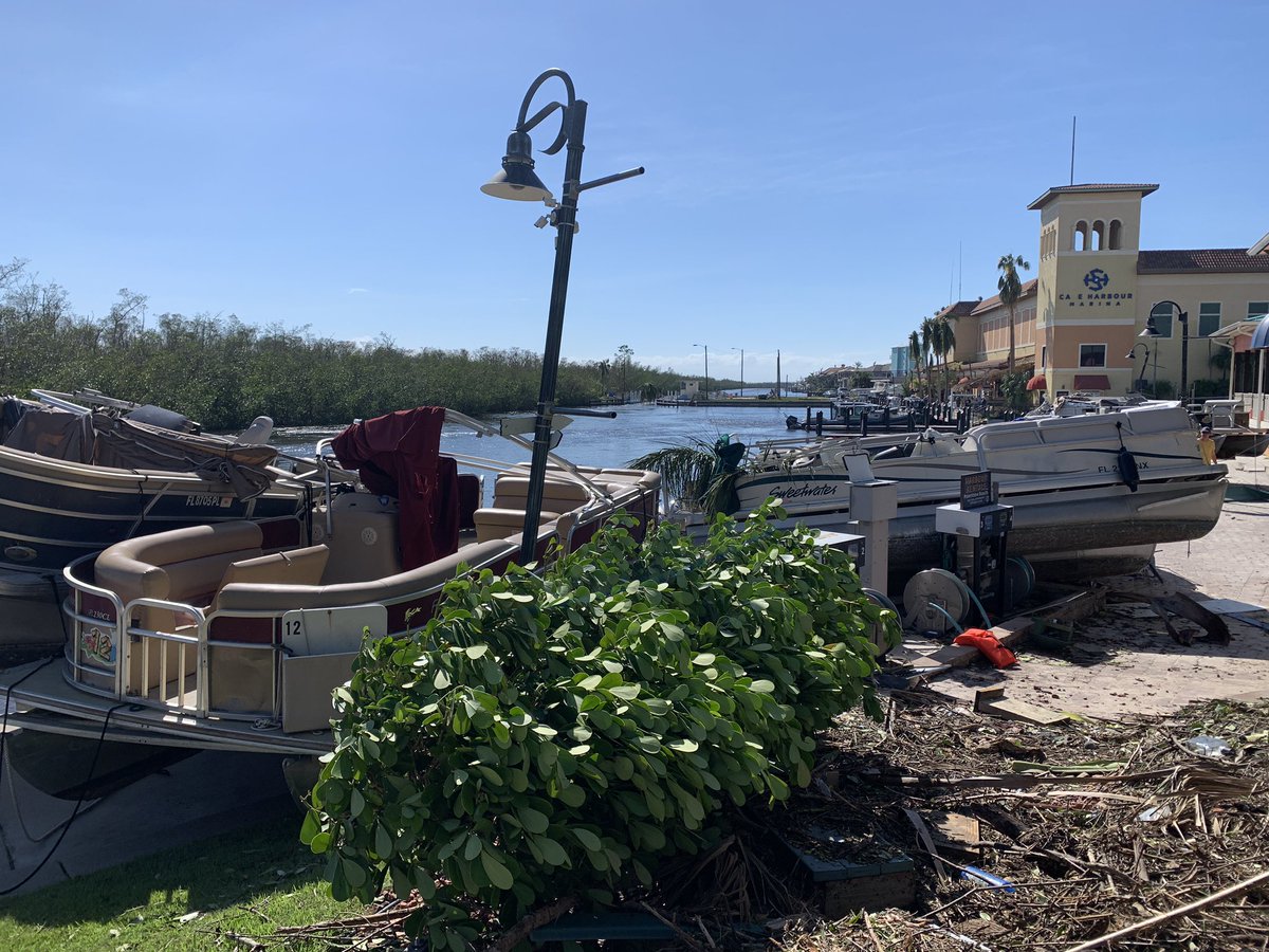 Mark Robinson tweet media