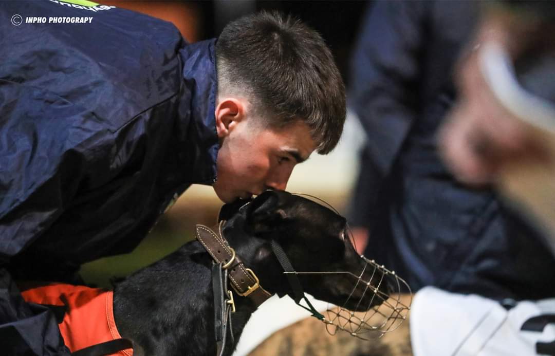 Shelbourne Park Greyhound Stadium tweet media