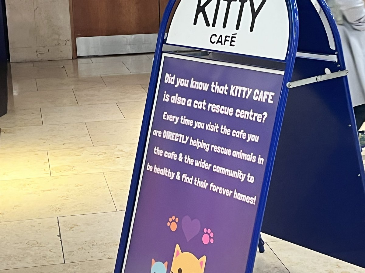 Lynsey Jeffers tweet media