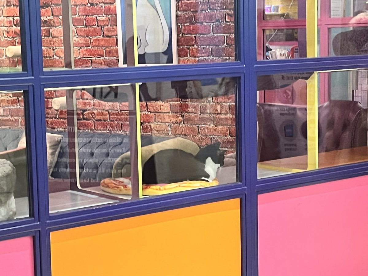 Lynsey Jeffers tweet media