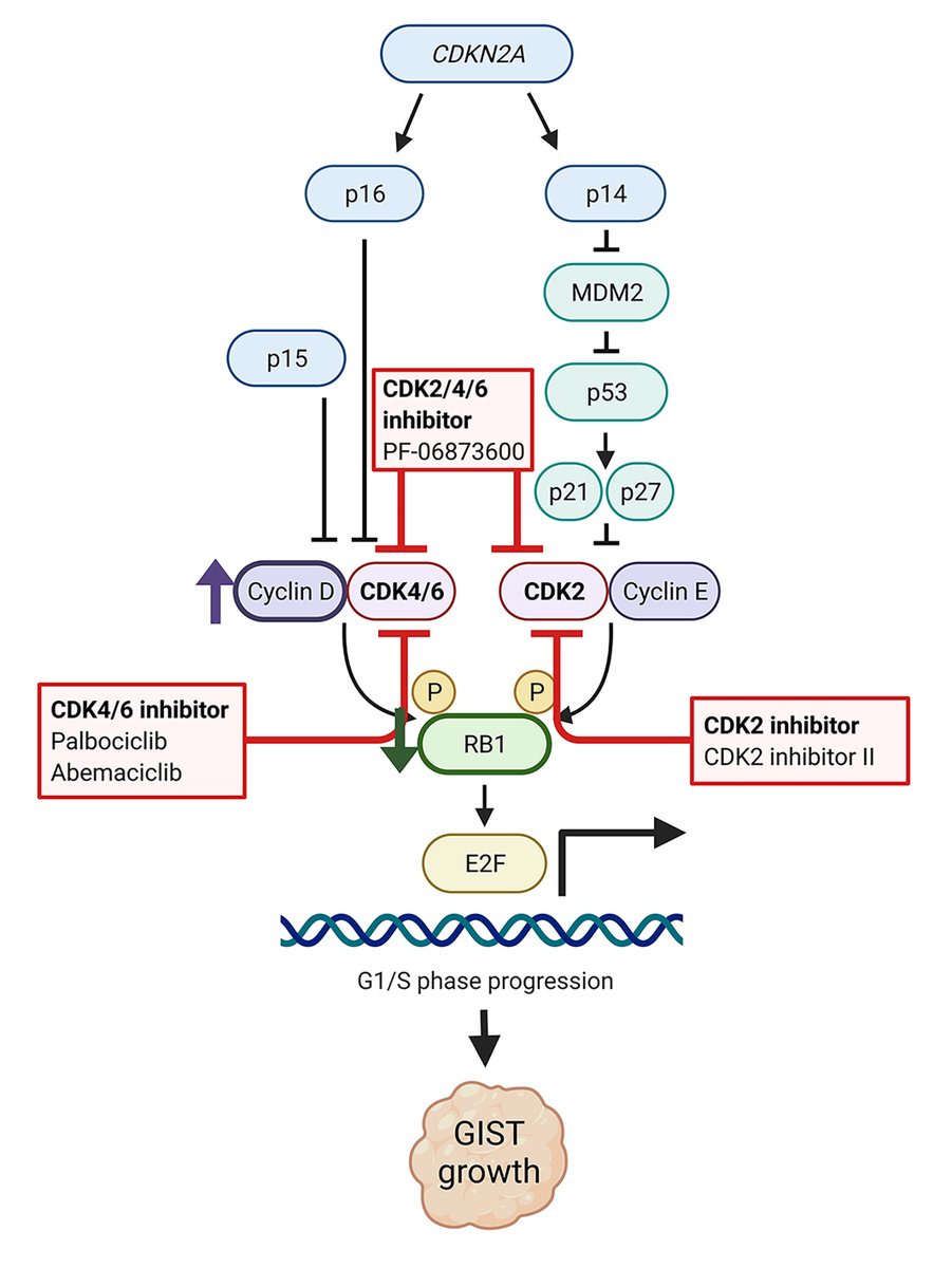 Inga-Marie Schaefer tweet media