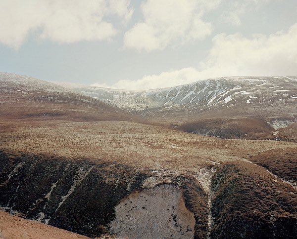 Cat__Hyland's tweet photo. Read @BenRawlence on how, in replanting its trees, Britain can re-find itself. Via @wtlfmag, with photography by @Cat__Hyland 

https://t.co/an4Bz0ecOJ https://t.co/oM7CLaIU5l