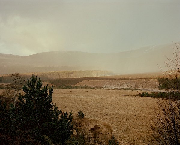Cat__Hyland's tweet photo. Read @BenRawlence on how, in replanting its trees, Britain can re-find itself. Via @wtlfmag, with photography by @Cat__Hyland 

https://t.co/an4Bz0ecOJ https://t.co/oM7CLaIU5l