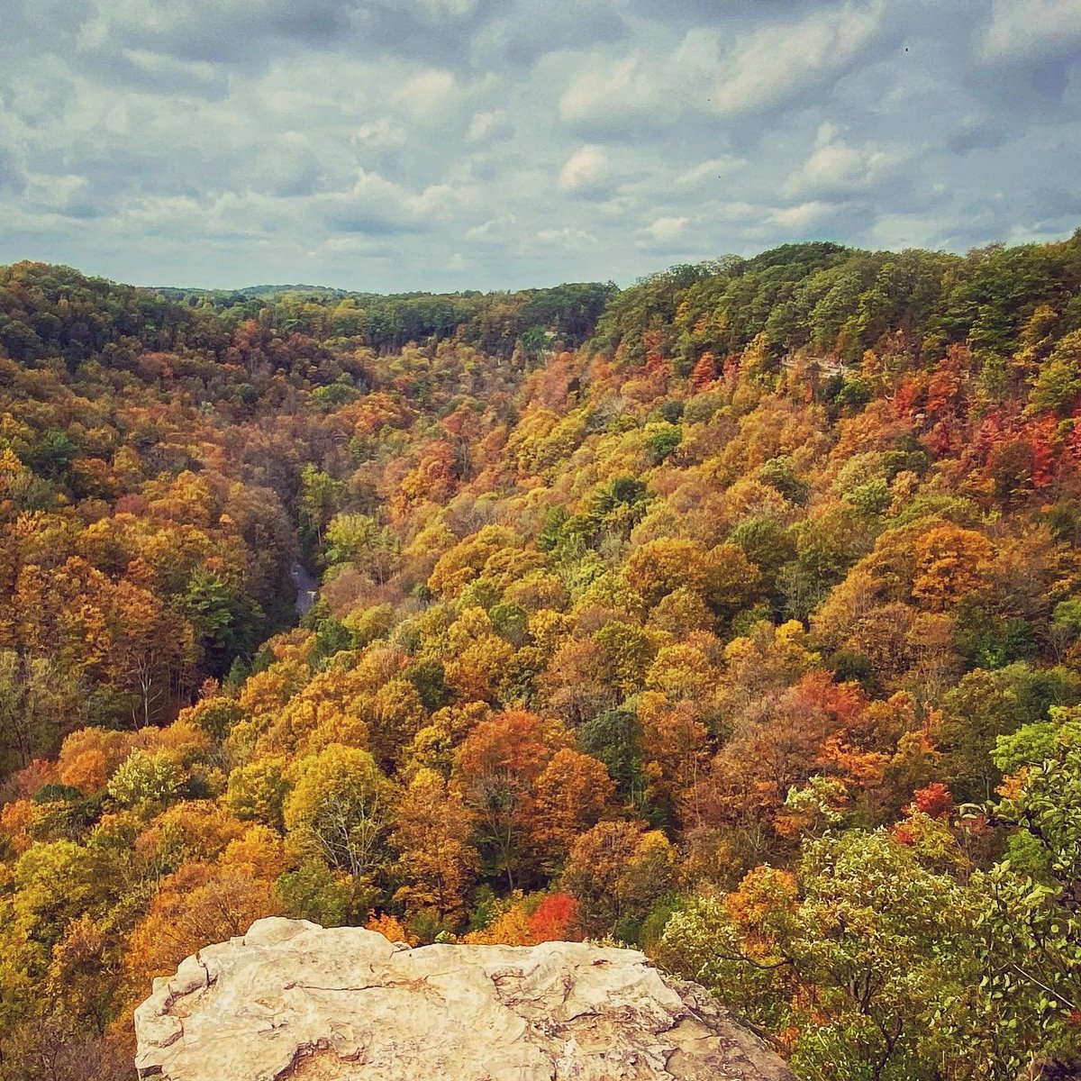 L’automne est arrivé!
Quel est votre endroit préféré pour admirer le paysage d’automne en #Ontario?

📸@belsaadi67
📍Dundas Peak @HeartofOntario
#DécouvrezON