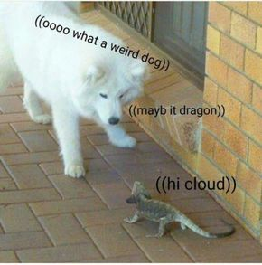 WholesomeMemes tweet media