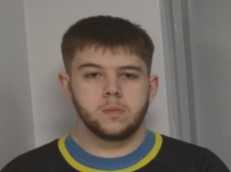 Temperate tweet media