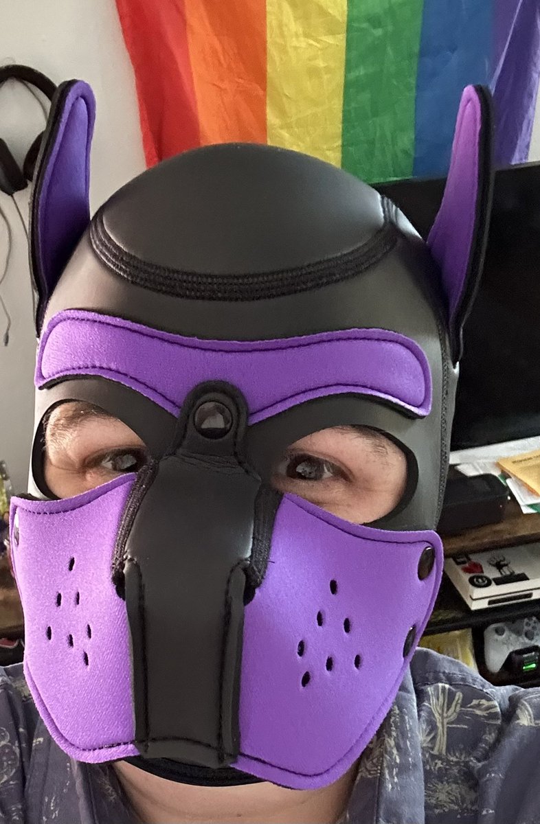 OKscisrtail's tweet photo. New hood! So excited! Meet pup Raven 🐾🦴 Arffff!! #pupraven #humanpup #pupplay #newhood https://t.co/zommlLpCSd