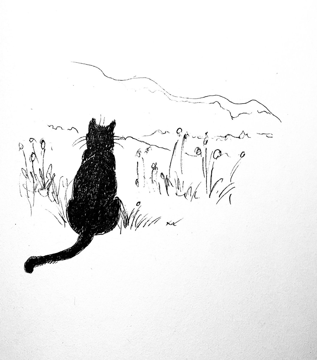 _sonotama's tweet photo. #Catember22 #catember
Weite
#kleineKunstklasse https://t.co/9P7dZ4supZ