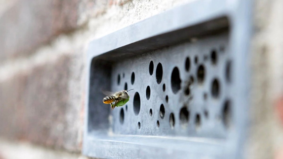 worlddesignorg's tweet photo. A creation of Green and Blue, Bee Bricks are architectural building blocks that feature holes of various sizes to allow solitary bees space for nesting.
Learn more 🔗 https://t.co/MRp8p1Cz56
#design4abetterworld #design #innovation #sustainability #planetpositive #beebrick https://t.co/a7mMGgn8hp