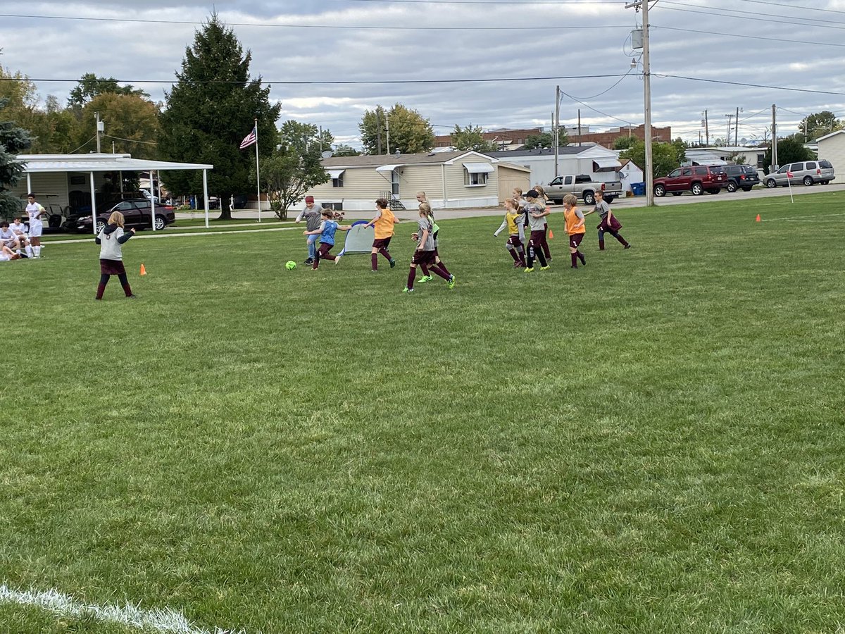 Wellington Sports tweet media