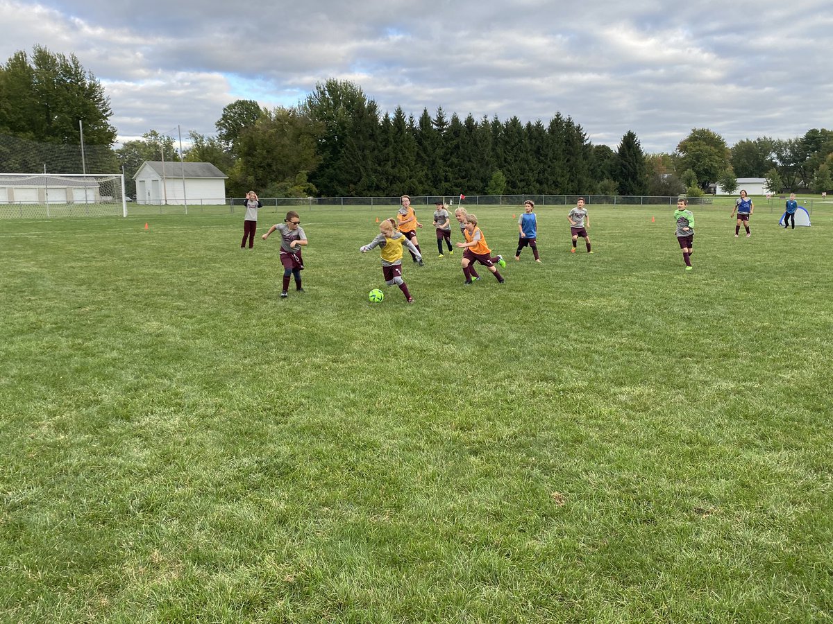 Wellington Sports tweet media