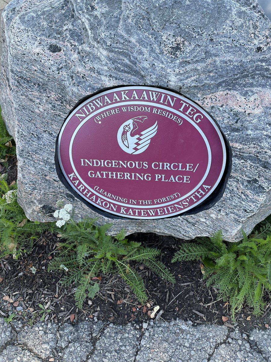 Lynn Cope tweet media